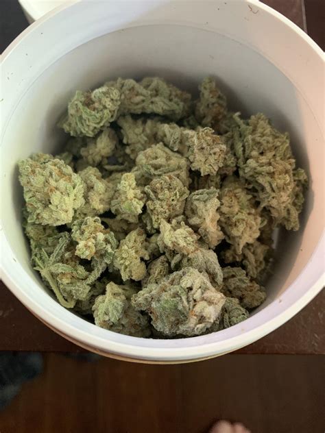How to Choose the Right Mavuc Nugs Wholesale Supplier for Your Business